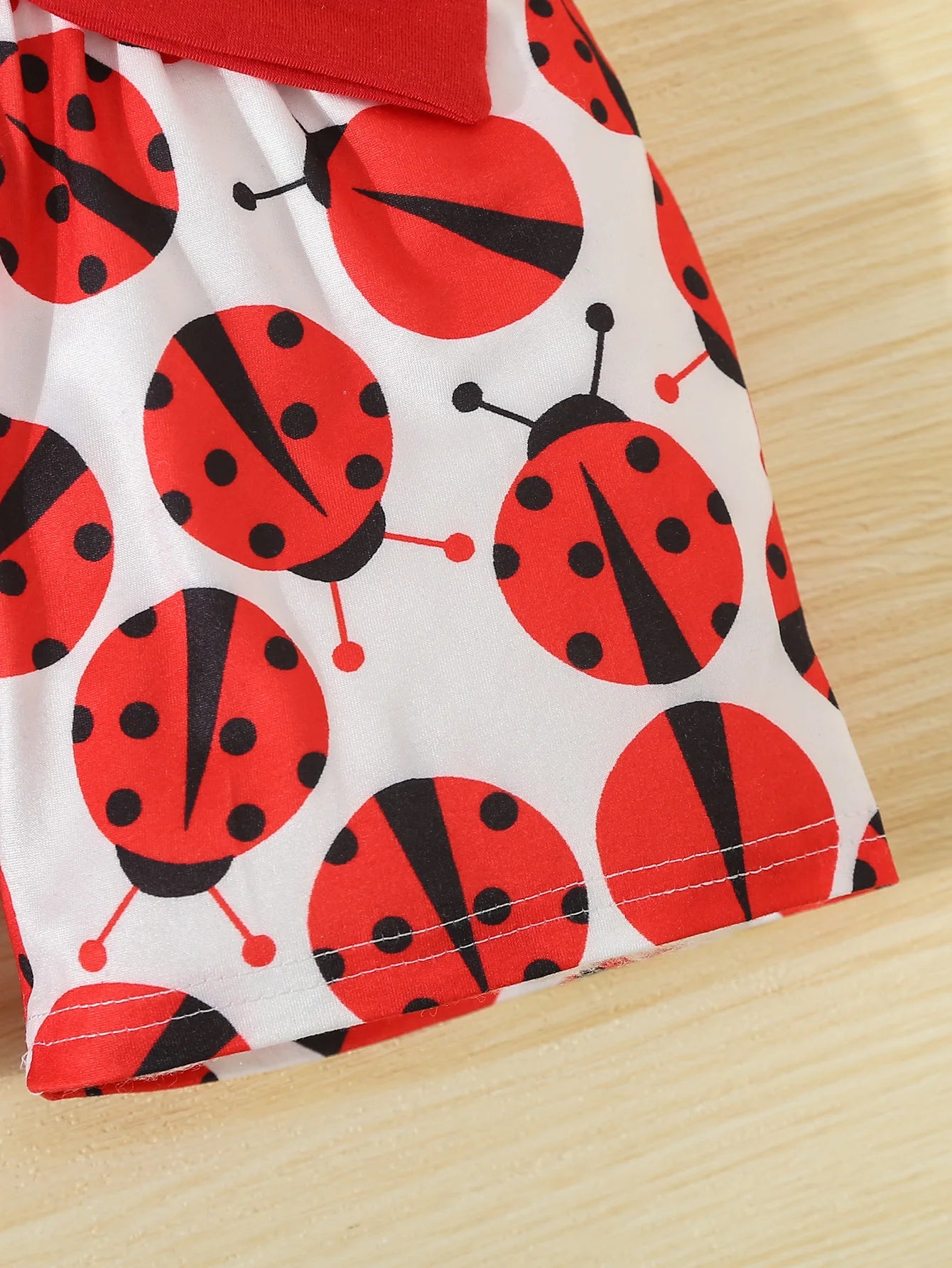 Summer Adorable Ladybug Outfit 2pcs Set